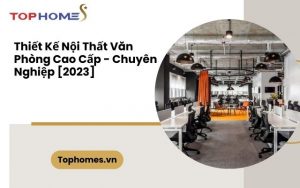 Thiết kế nội thất văn phòng